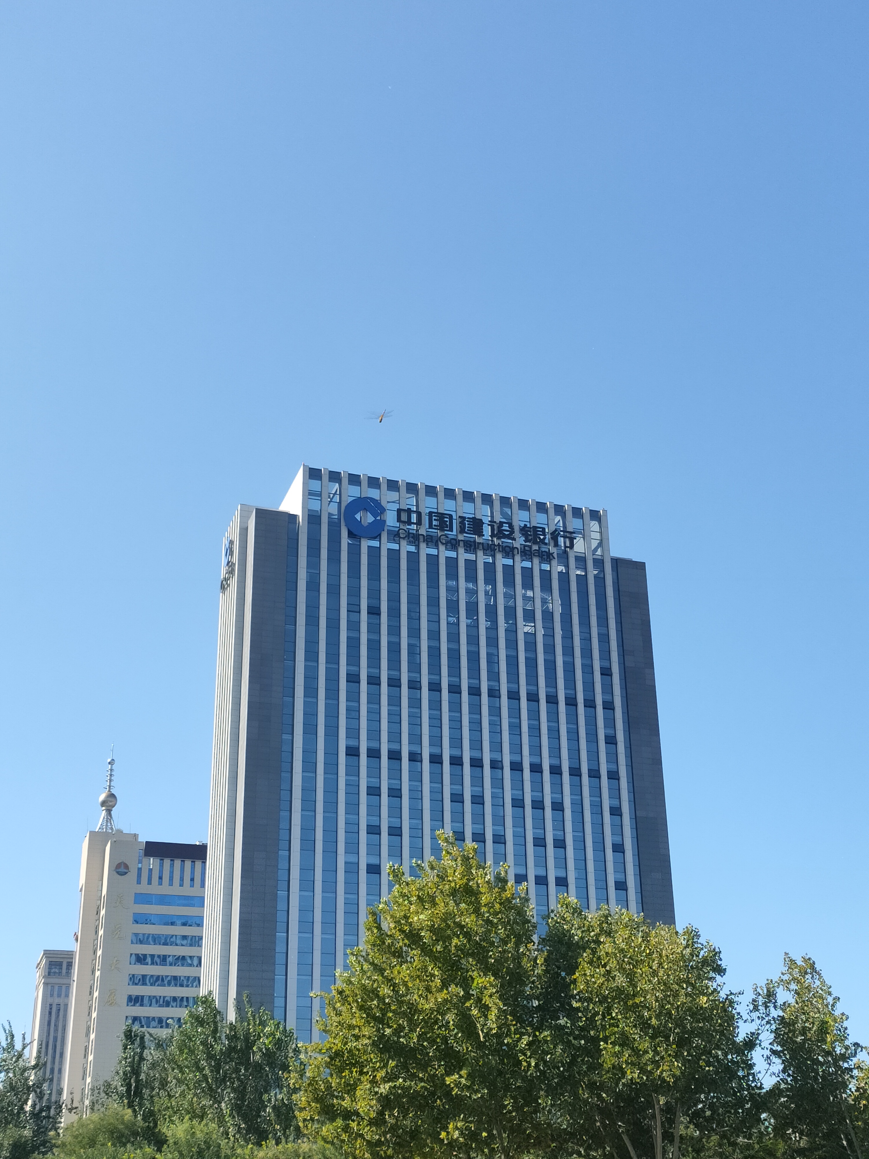 中国建设银行股份有限公司德州分行10kv配电室工程